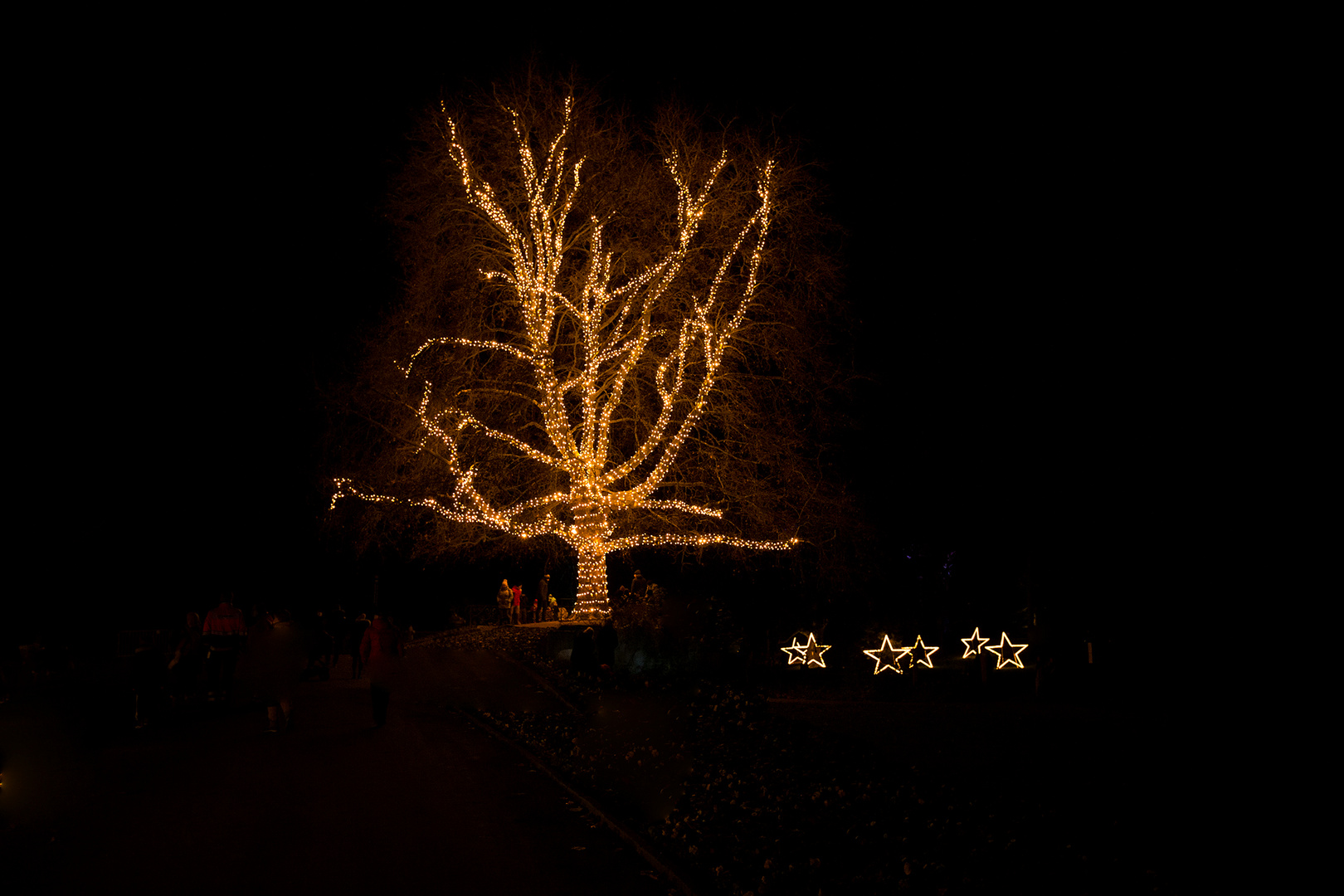 Advent auf der Mainau