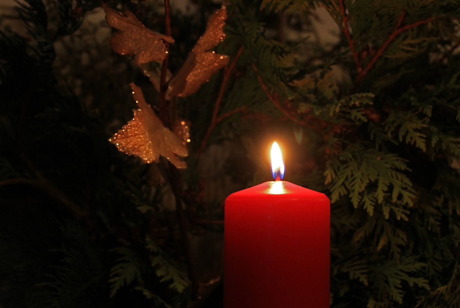 Advent