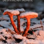 Advent