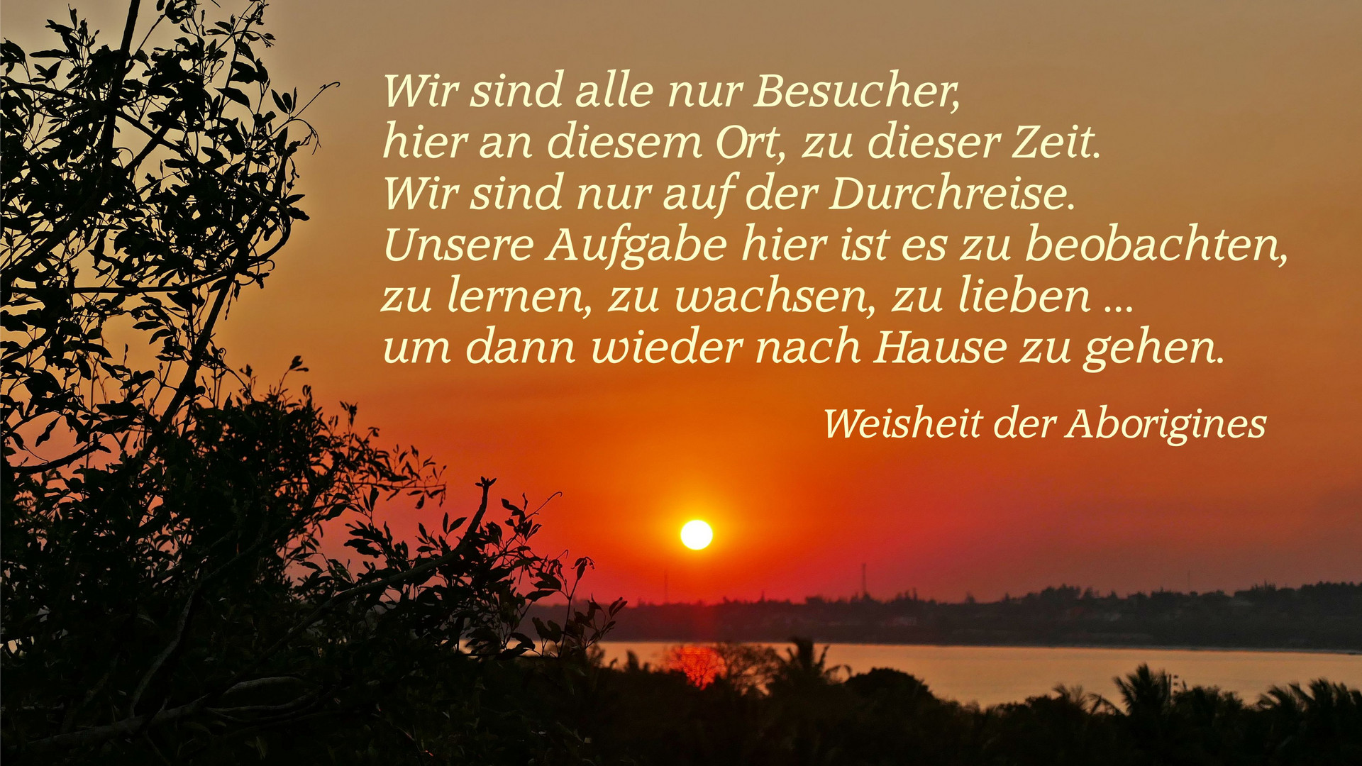 (Advent-) Gedanken