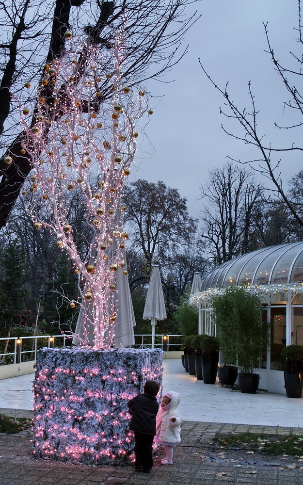 Advent in Paris