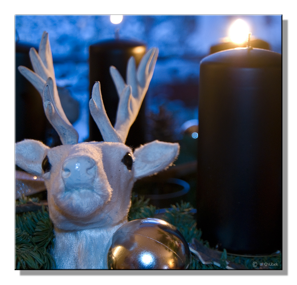 advent mit hirsch