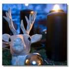 advent mit hirsch