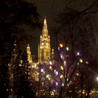 ADVENT mit Rathaus in Wien