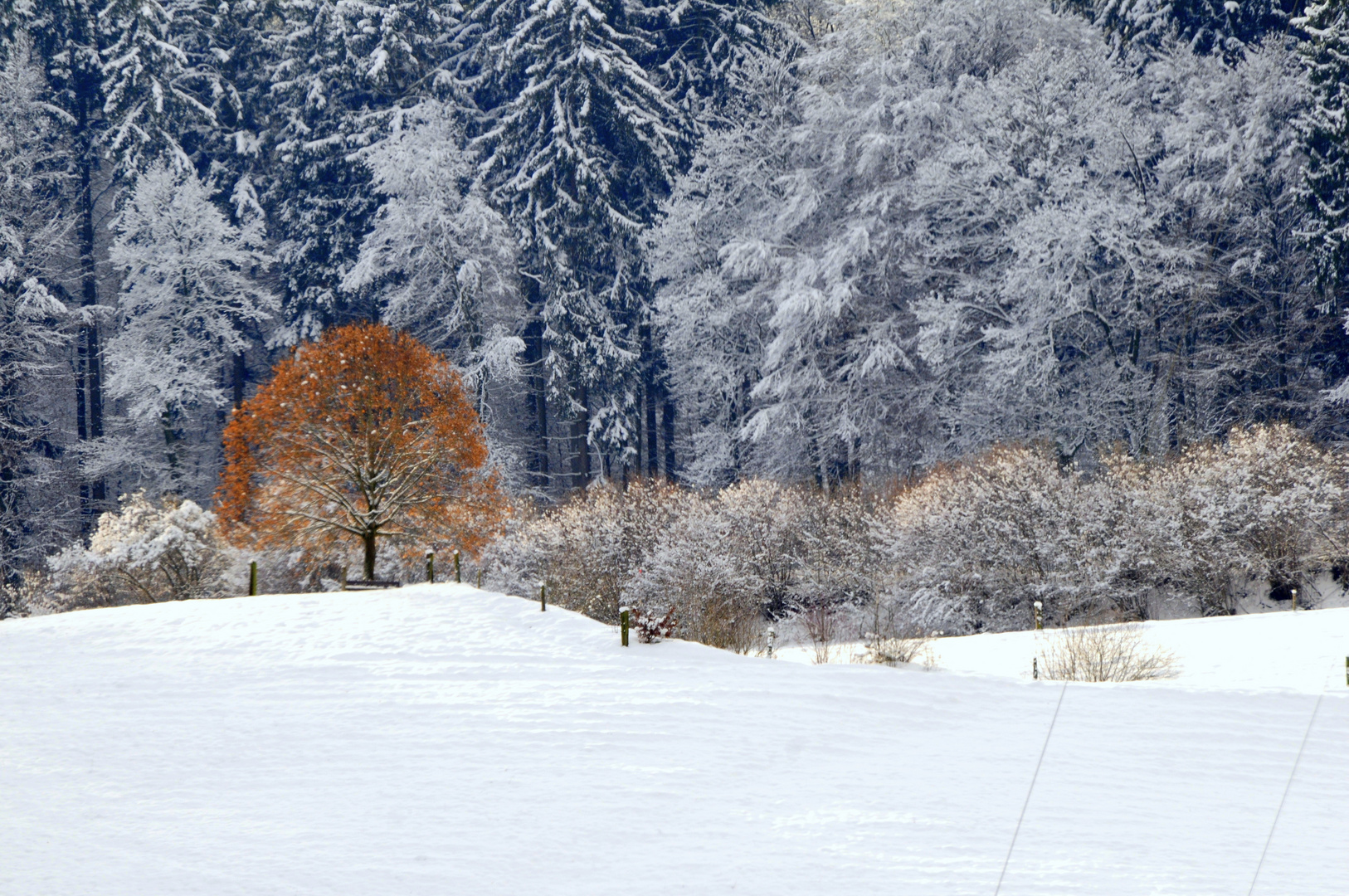 Advent Schnee