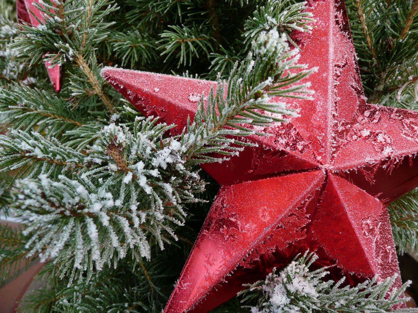 Advent vor der Haustür