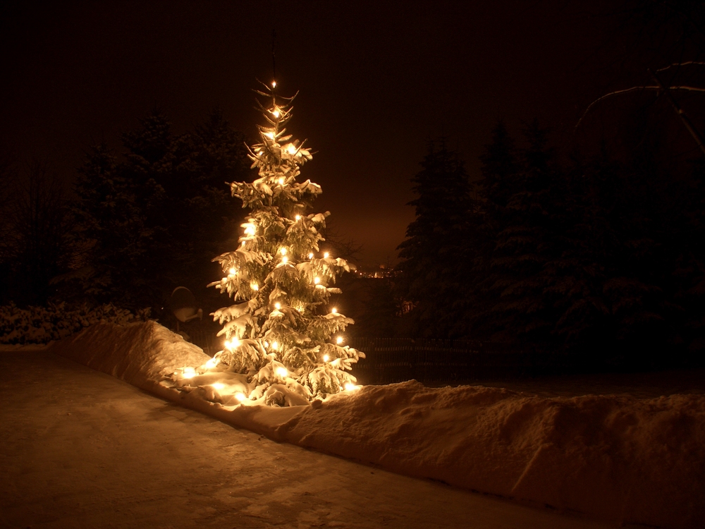 Advent,Advent ein Lichtlein brennt.....