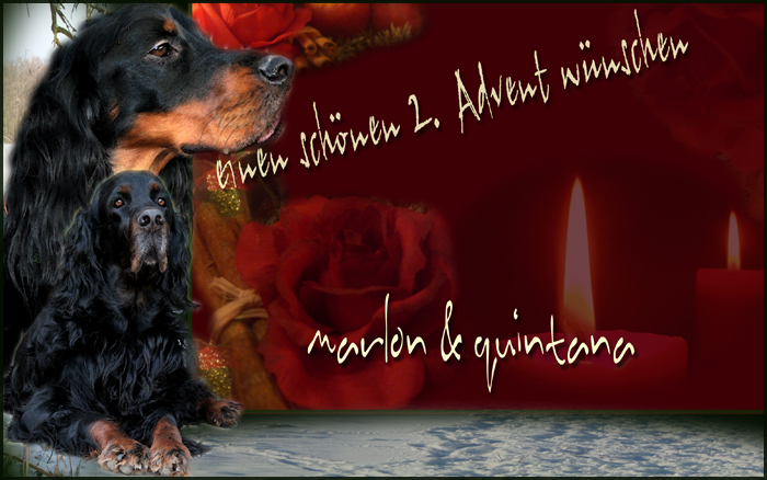 Advent...Advent