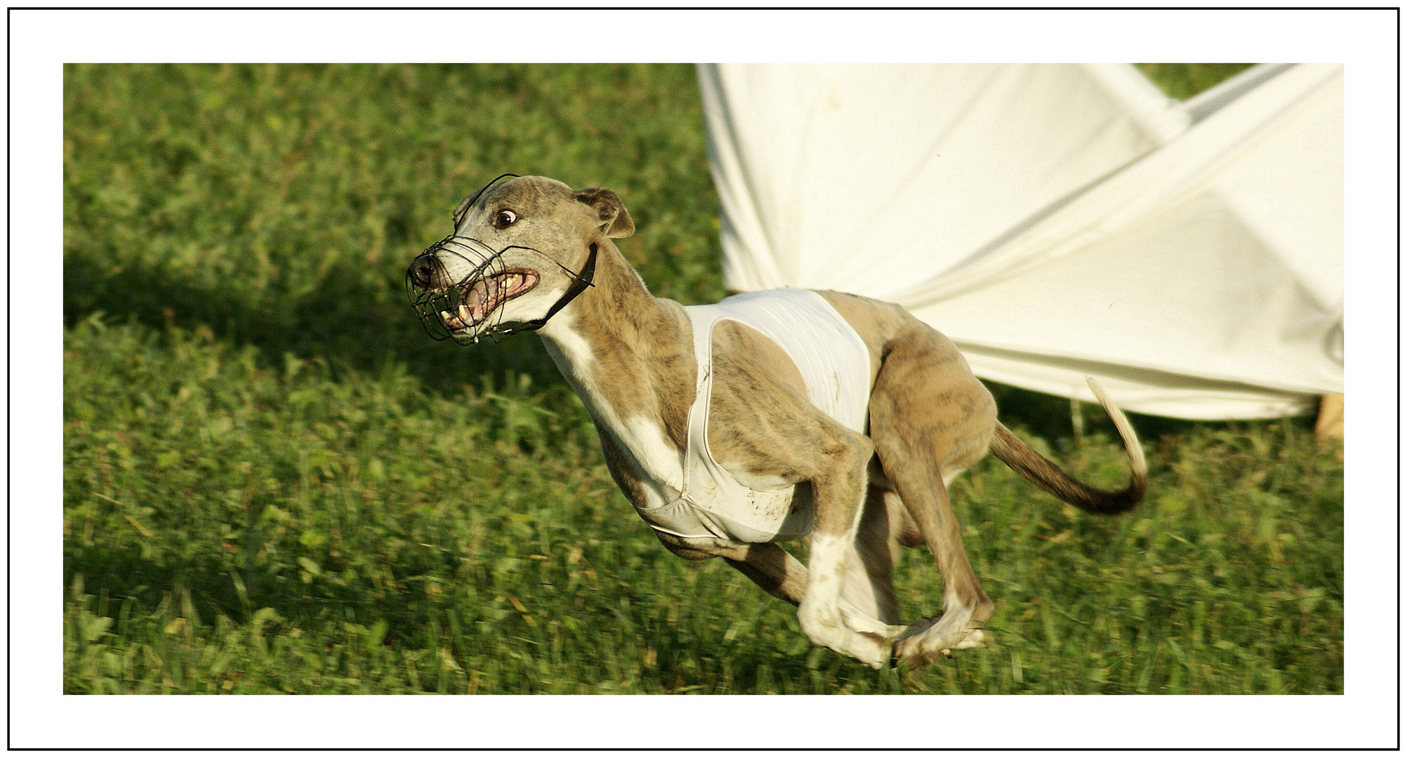 Adventcoursing in Gunterswilen 2009 3