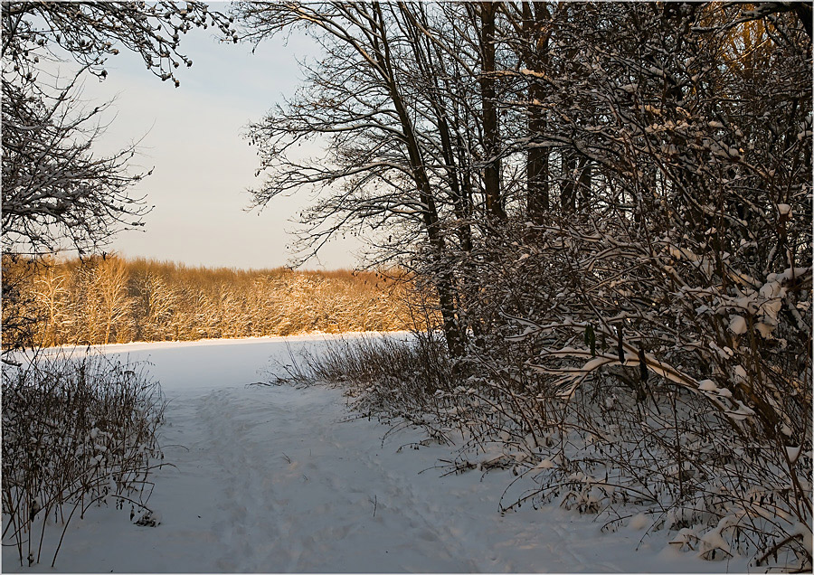 Adventskalender, 12. Dezember