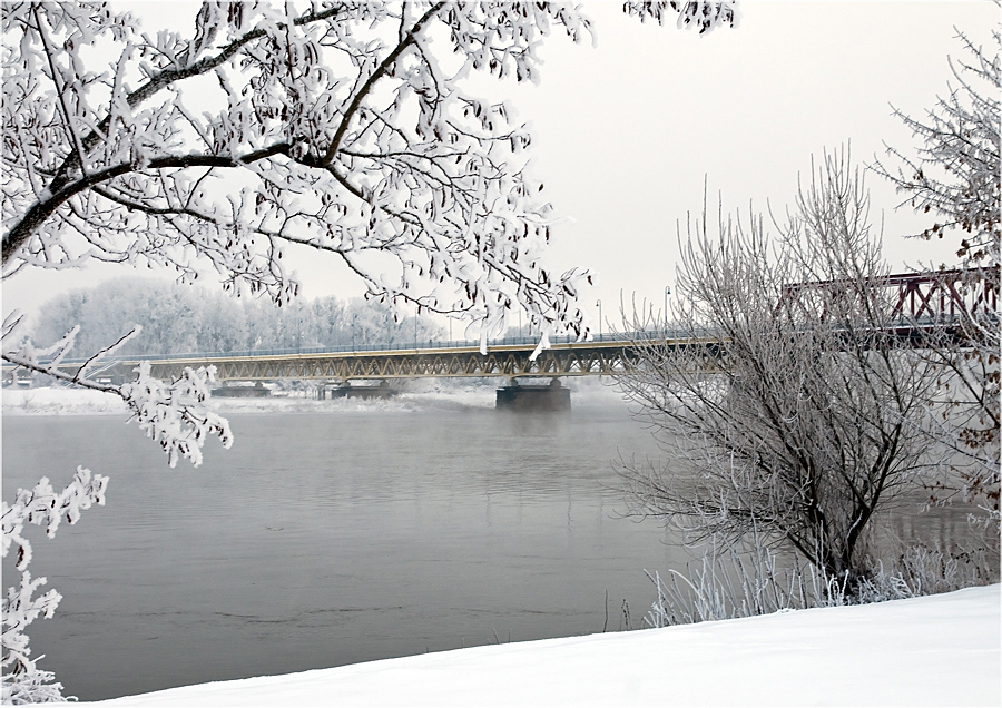 Adventskalender, 15. Dezember