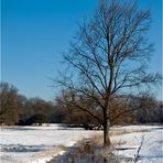 Adventskalender, 19. Dezember