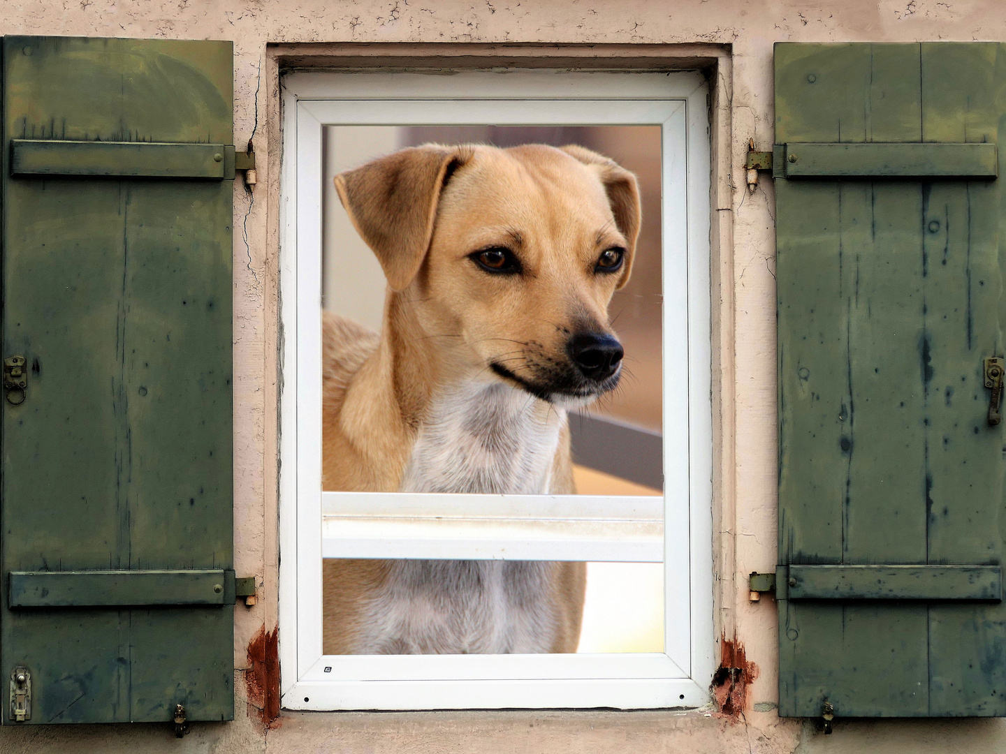 ADVENTSKALENDER 2020 - Fensterchen 11