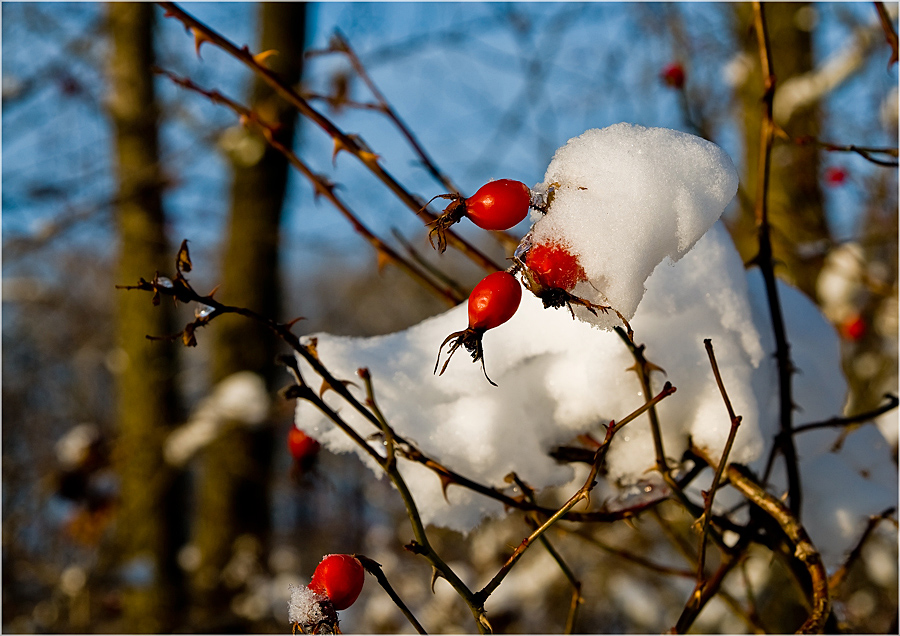 Adventskalender, 3. Dezember