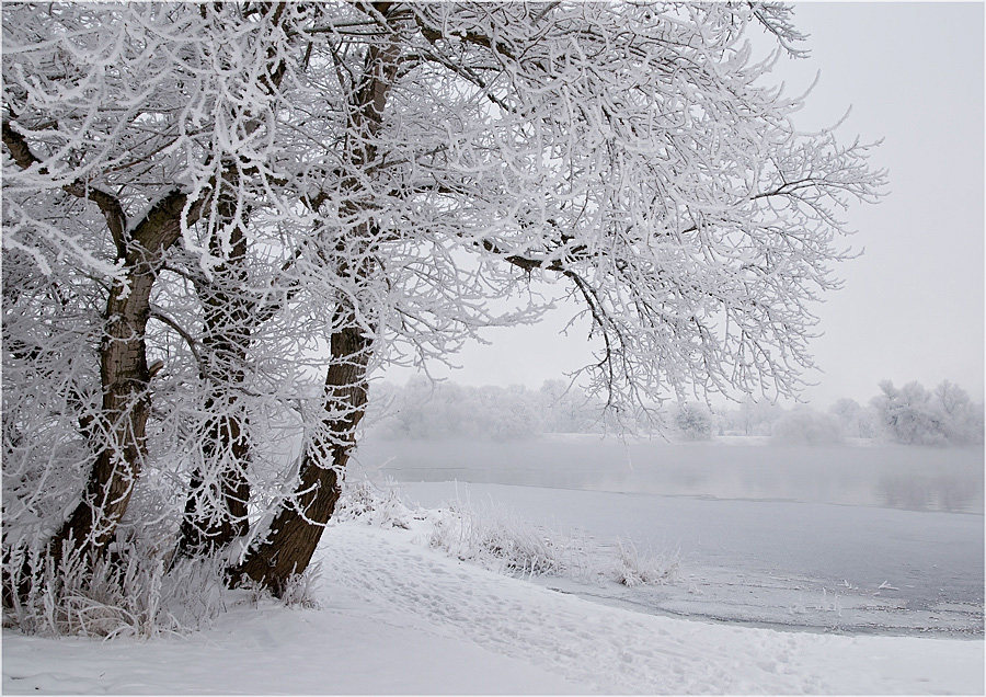 Adventskalender, 5. Dezember