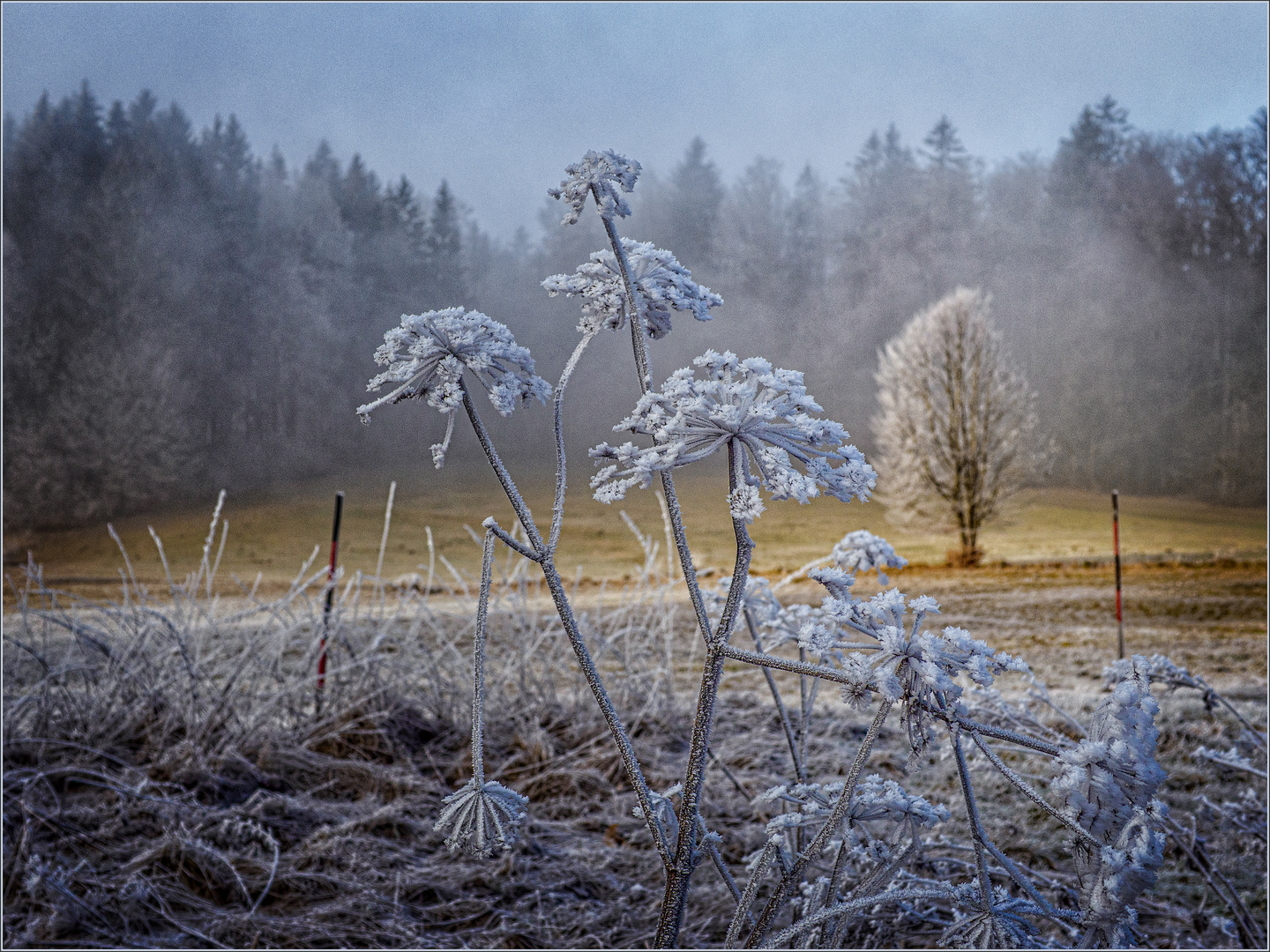 Adventsspaziergang