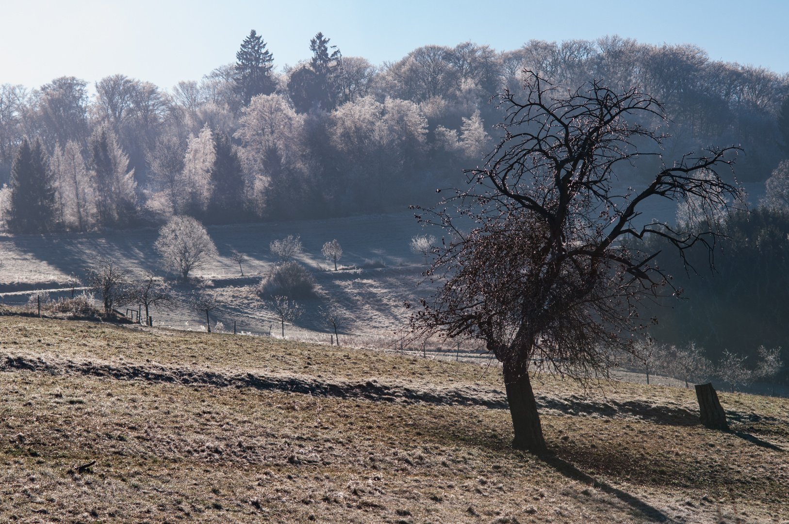 Adventsstimmung Kälte und Frost in der Sonne