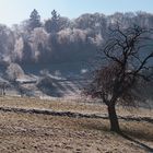 Adventsstimmung Kälte und Frost in der Sonne