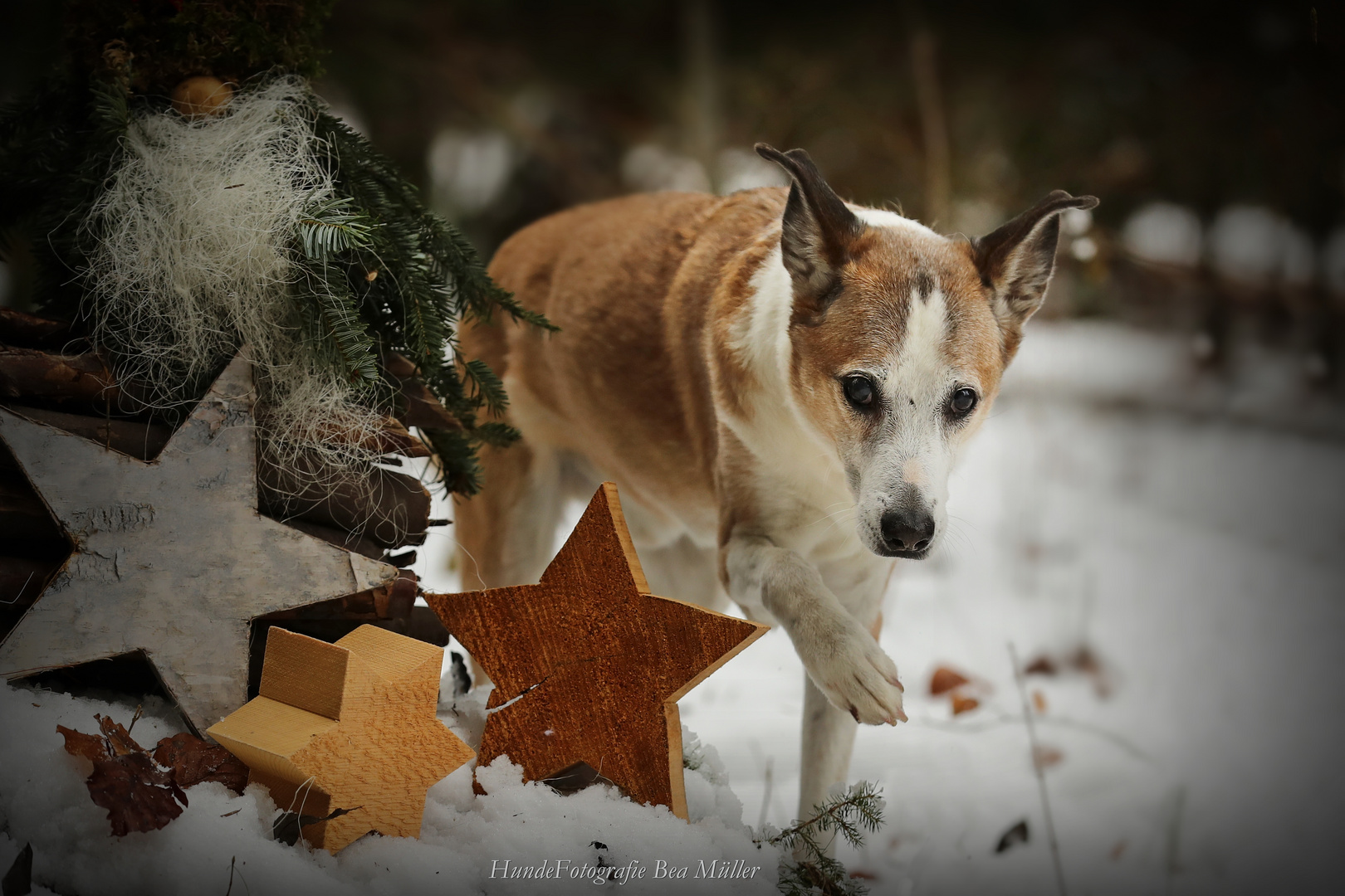 Adventszeit