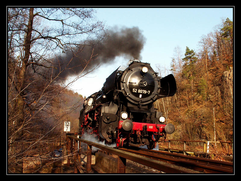 Adventszug auf der Müglitztalbahn (II)