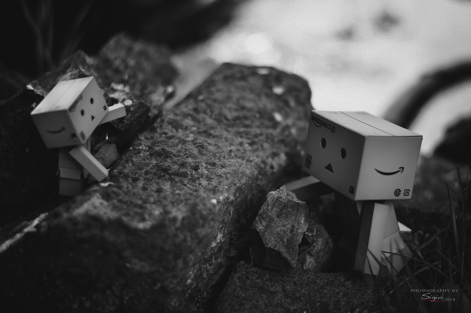 Adventure Danbo