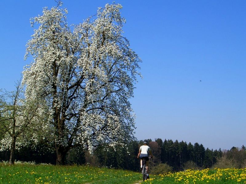 Ä Blueschtfährtli