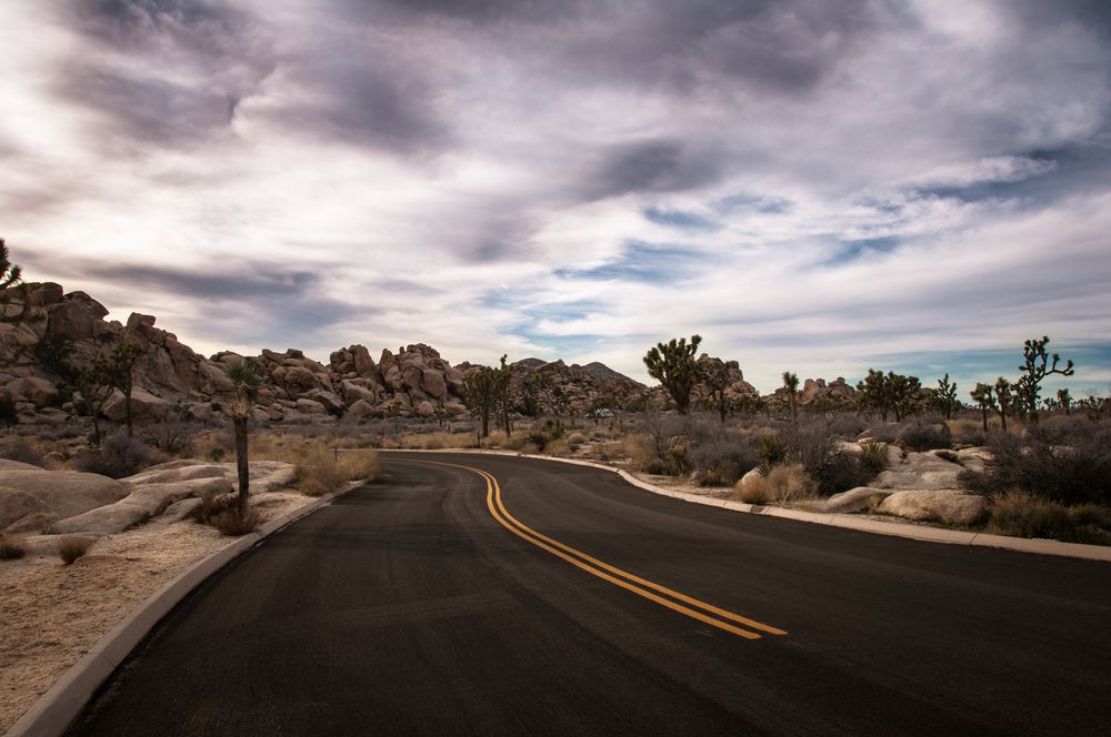 joshua tree road von Dustin Heiduk