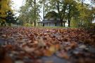 Herbstlaub by Erich Werner