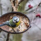 "Ääähem .... gibt's noch mehr"?