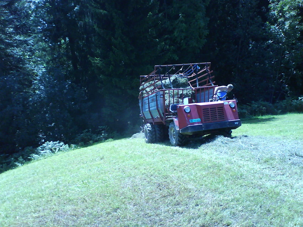 Aebi bei der Heueinfuhr (Schweizer Hornbachtal 2007 bei Wasen im Emmenthal))