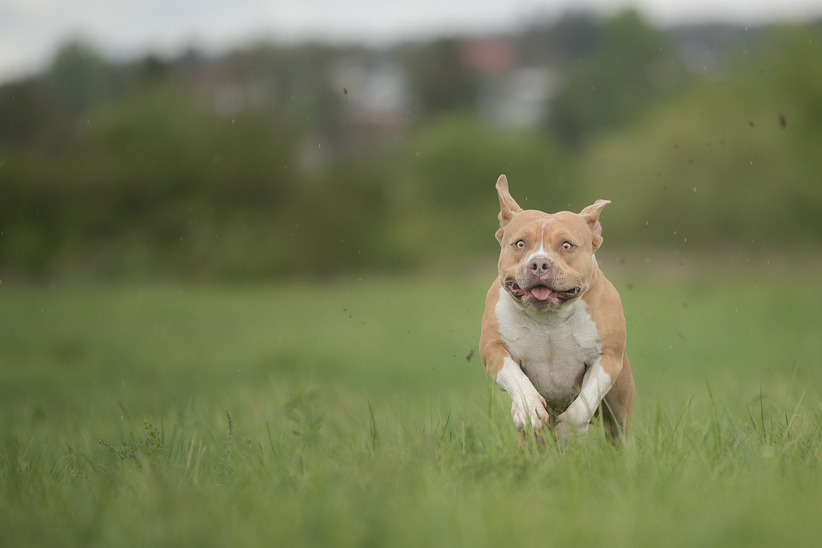 *ächtz* Montag!!!