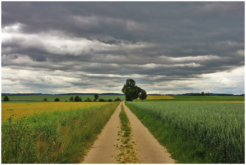 Äcker, Felder & Himmel