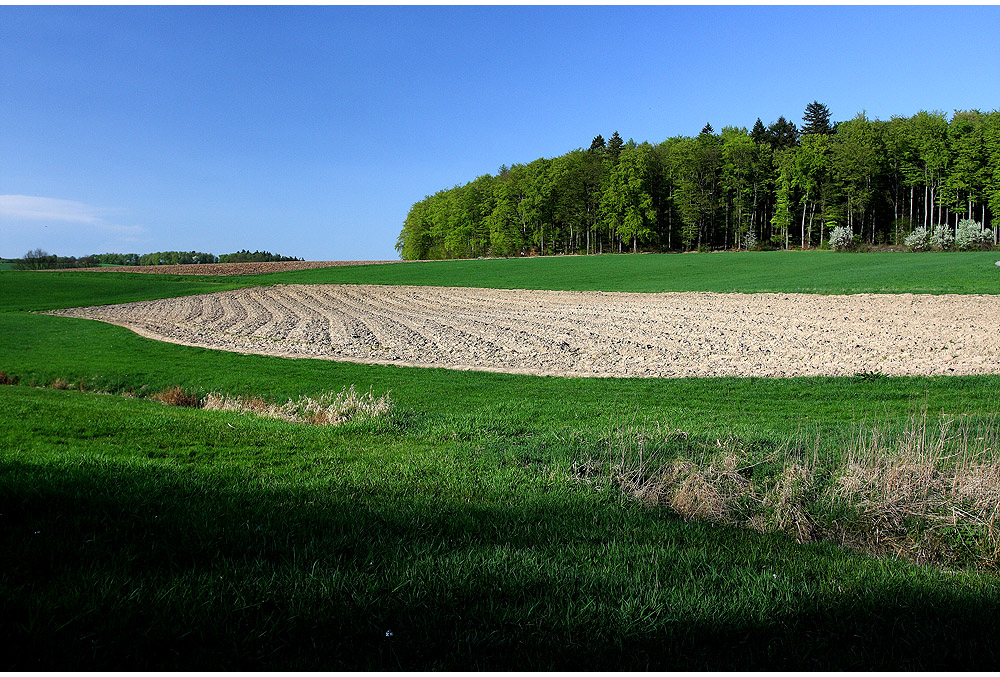 Äcker, Felder & Wälder