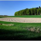 Äcker, Felder & Wälder