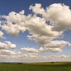 Äcker und blauer Himmel mit knuffigen Wattewölkchen