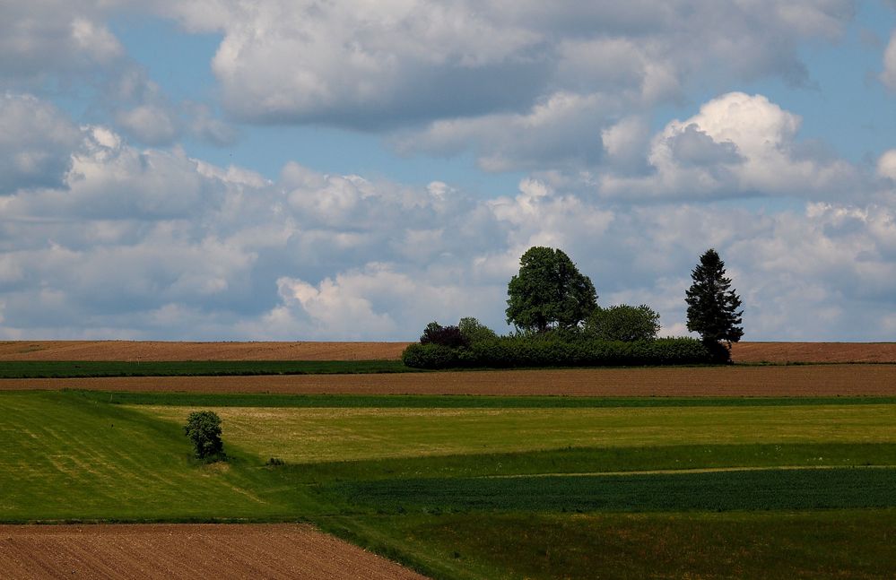 Äcker und Wiesen