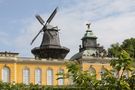 Mühle Sanssouci by jg.foto 