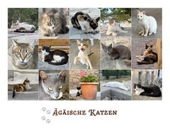 Ägäische Katzen