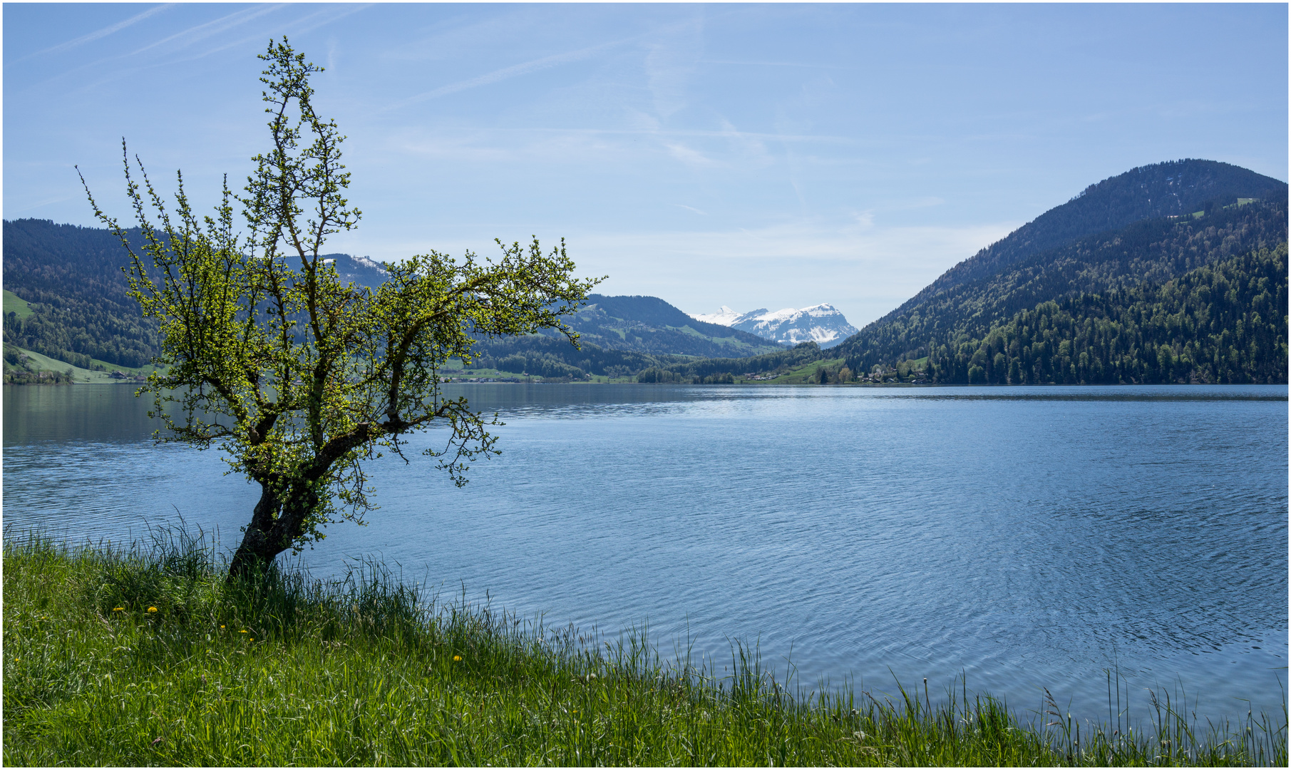 Ägerisee