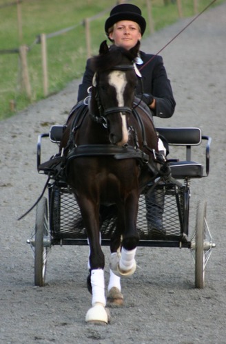 Aegidienberg Westdeutsche Meisterschaften IIi