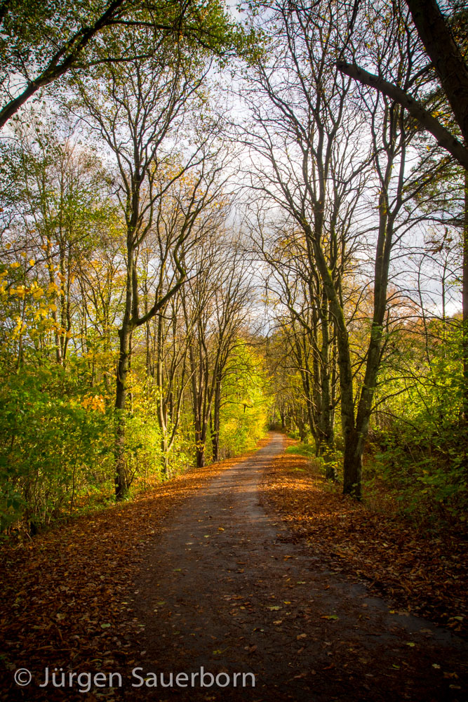 Ägidienberger Herbst