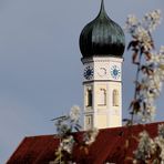 Ägidius.Flowers