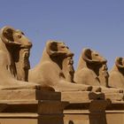 Ägypten 2008