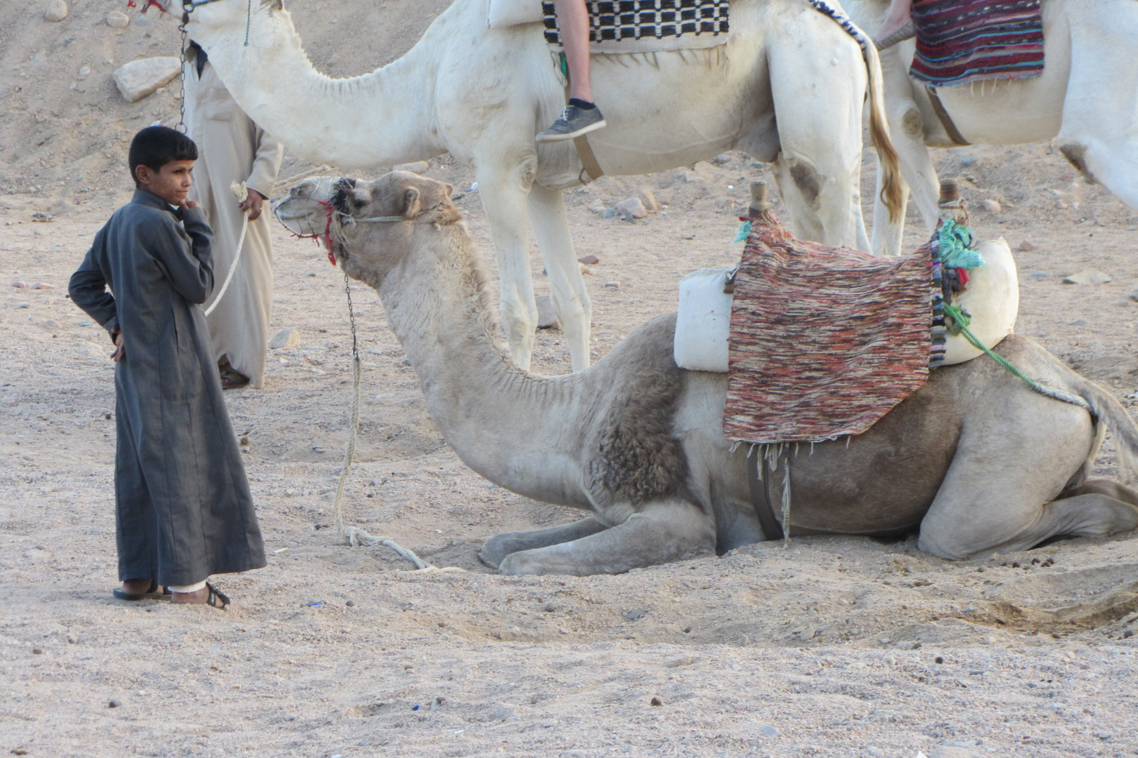 Ägypten - Beduinencamp