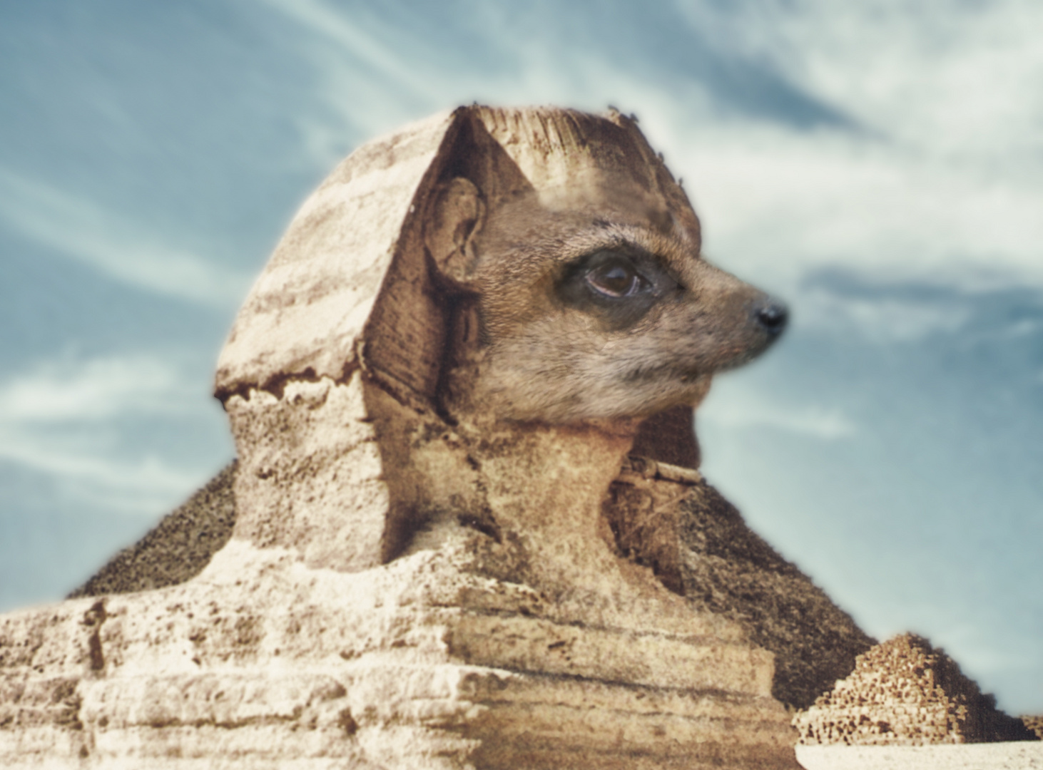 Ägypten der Sphynx - man hat die Nase gefunden