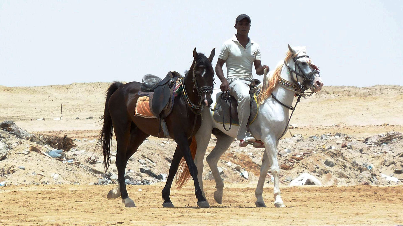 Ägypten-Hurghada-Nubischer Reiter-2011