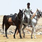 Ägypten-Hurghada-Nubischer Reiter-2011