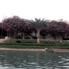 Ägypten mit Nilkreuzfahrt