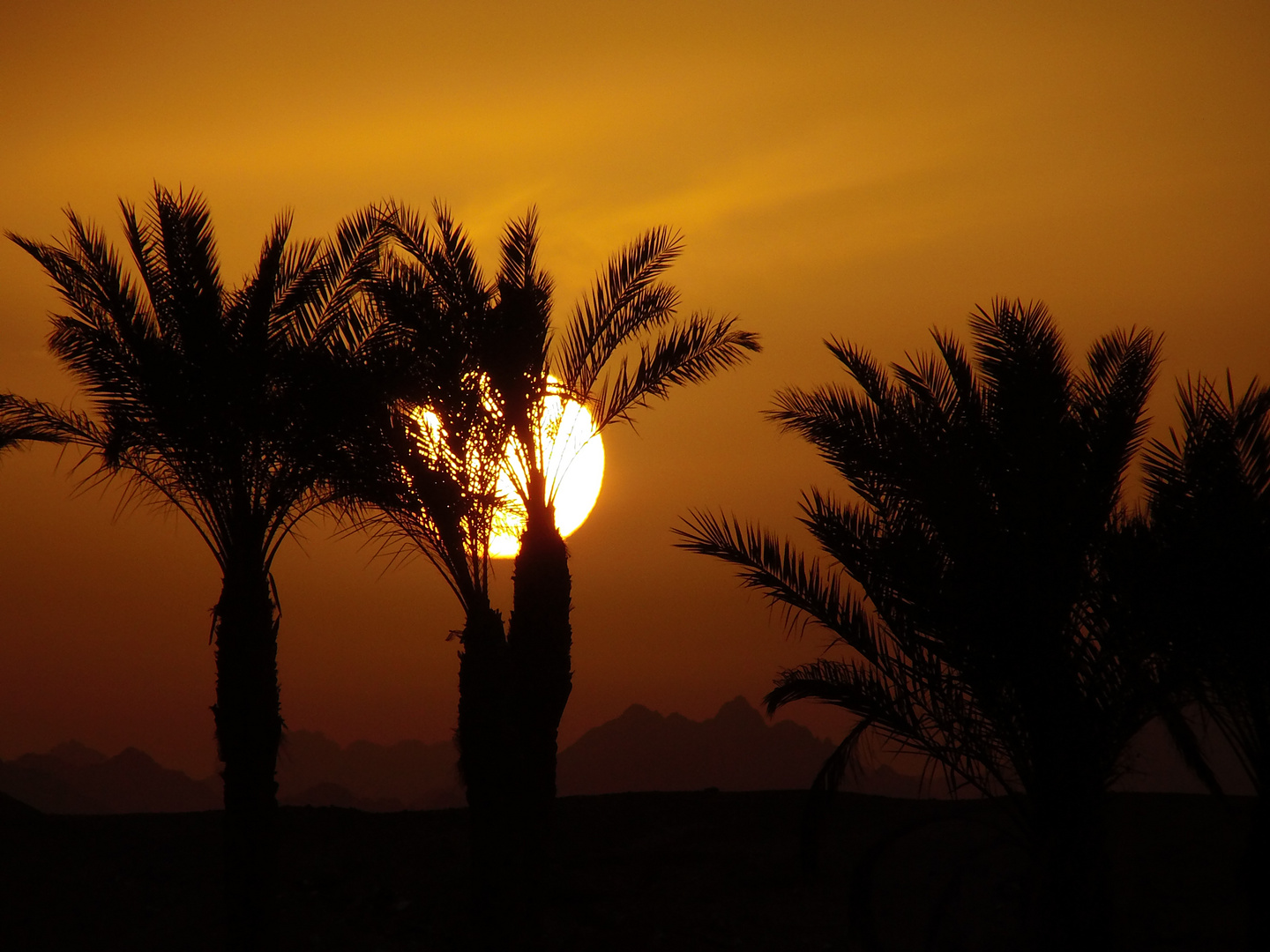 Ägypten Sonnenuntergang (Stil 80er Fototapete)