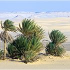 Ägypten - Westliche Wüste